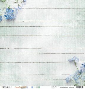 Studio Light Scrap Dubbelz.304x304mm Summer Breeze no.82 