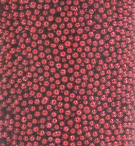 Hobby Crafting Fun Mini Pearls Red 12342-4204