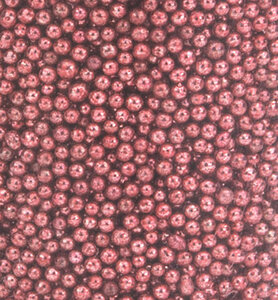 Hobby Crafting Fun Mini Pearls Coral 12342-4212