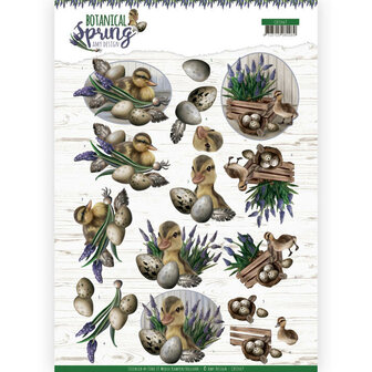 3D cutting sheet - Amy Design - Botanical Spring - Happy Ducks