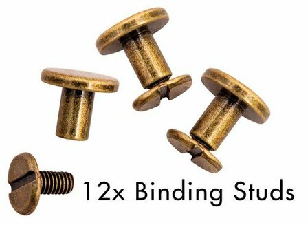 Studio Light Binding Studs Old Gold Planner Essentials 12st nr.2 