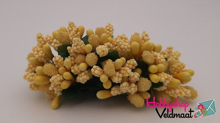 Hobbyshop Veldmaat Bloemen Geel 1 bosje