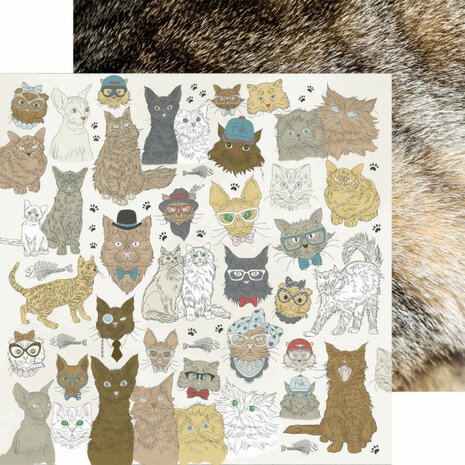 Kaisercraft Pawfect double-sided 12x12&quot; cats