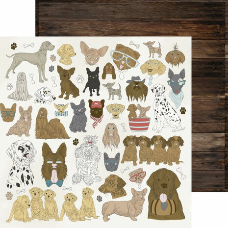 Kaisercraft Pawfect double-sided 12x12&quot; dogs