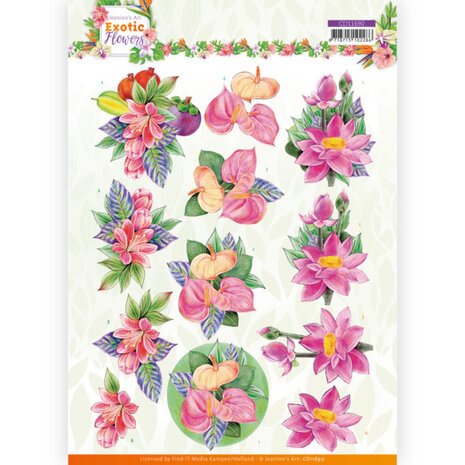 3D cutting sheet - Jeanine&#039;s Art - Exotic Flowers - Pink Flowers