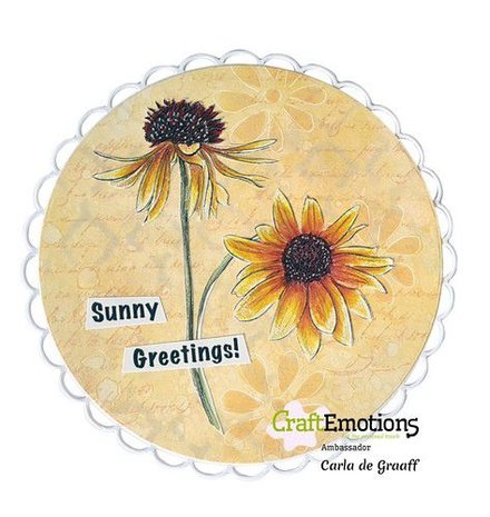 Joy! Crafts Clearstamp - Bloem zonnehoed - Echinacea A6