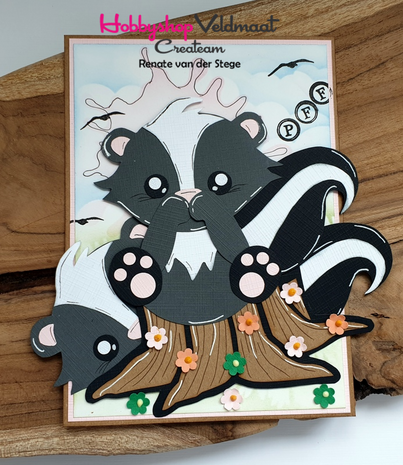 CraftEmotions karton kraft bruin 10 vel 30,5 x 30,5 cm