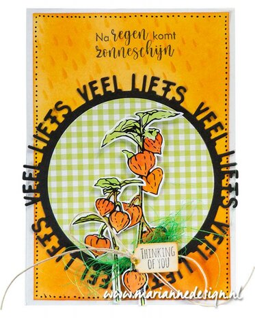 Marianne Design Clear Stamps Tiny&lsquo;s border - Lantaarnplant TC0901 