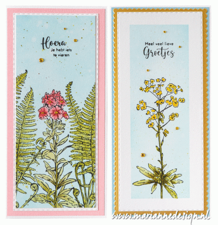 Marianne Design Clear Stamps Tiny&lsquo;s borders - Phlox TC0915 53130mm