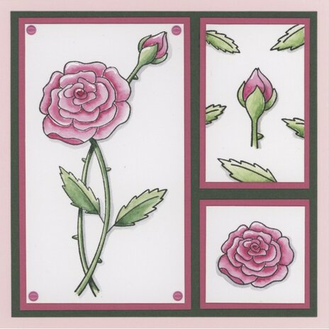 Clear Stamps - Amy Design - Pink Florals - Rose Clear Stamps - Amy Design - Pink Florals - Rose Productomschrijving Een set Cle