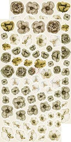 Craft OClock Basic Flowers Set 2, Beige-Brown