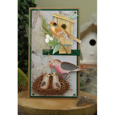 3D Cutting Sheets - Jeanine&#039;s Art - Vintage Birds - Wooden Birdhouse