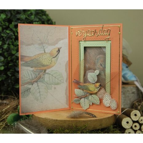 3D Cutting Sheets - Jeanine&#039;s Art - Vintage Birds - Birdcage