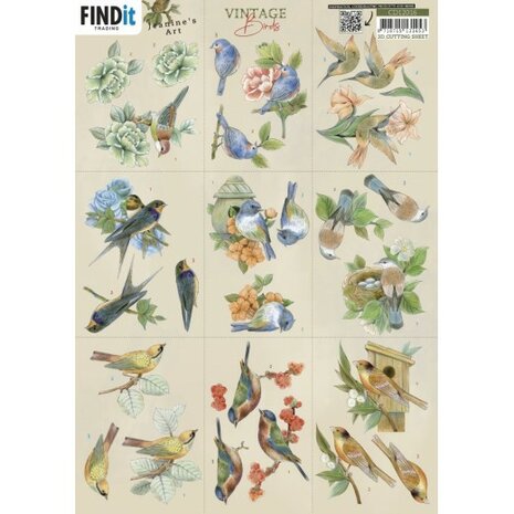 3D Cutting Sheet - Jeanine&#039;s Art - Vintage Birds - Mini