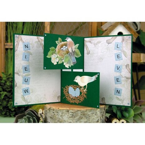 Paperpack - Jeanine&#039;s Art - Vintage Birds