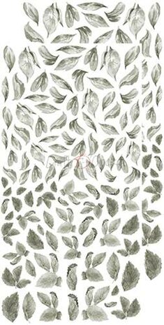 Craft OClock Basic Leaves Set 2, Grey