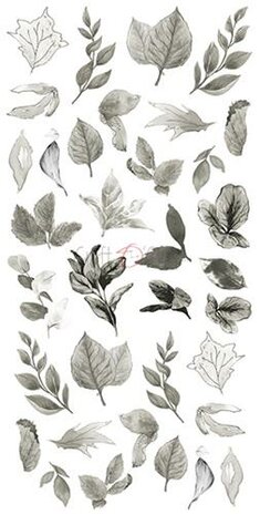 Craft OClock Basic Leaves Set 2, Grey