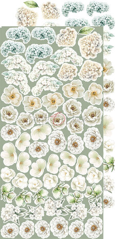 Craft O Clock Extras Set Flowers 15x30 cm Cherished Memories 250 grs 3x6 designs + 1 extra CC-C72-CHM-11