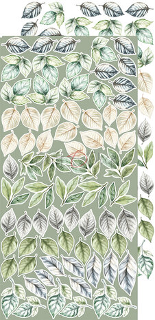 Craft O Clock Extras Set Flowers 15x30 cm Cherished Memories 250 grs 3x6 designs + 1 extra CC-C72-CHM-11