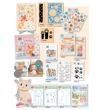 The Collection 147 March 2025 CAT13147