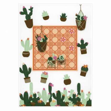 Dies - Berries Beauties - Plant Paradise - Plant Baskets BBD10040
