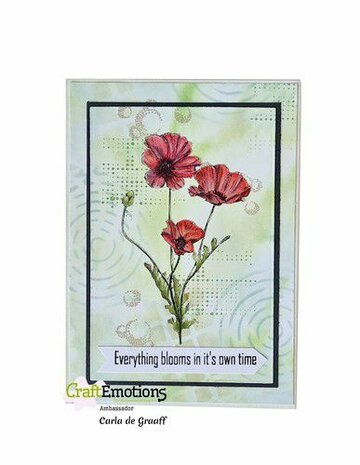 Joy! Crafts Clearstamp - Klaprozen A6