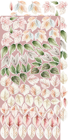Craft O Clock Extras Set Flowers 15x30 cm Rose Emotions 250 grs 3x6 designs + 1 extra CC-C73-RE-11