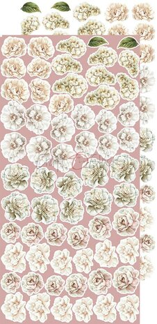 Craft O Clock Extras Set Flowers 15x30 cm Rose Emotions 250 grs 3x6 designs + 1 extra CC-C73-RE-11