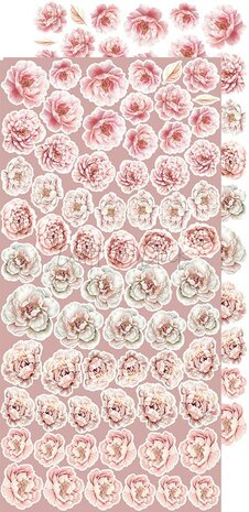 Craft O Clock Extras Set Flowers 15x30 cm Rose Emotions 250 grs 3x6 designs + 1 extra CC-C73-RE-11