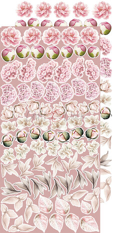 Craft O Clock Extras Set Flowers 15x30 cm Rose Emotions 250 grs 3x6 designs + 1 extra CC-C73-RE-11