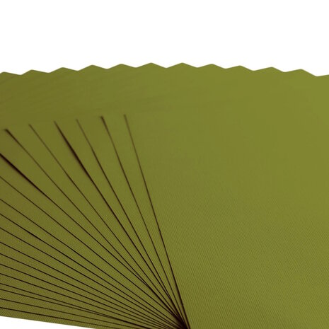 Florence &bull; Cardstock Papier 216g Textuur 30,5x30,5cm Olive  2928-073