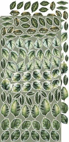 Craft O Clock Creative Extras Set 15x30 cm Mix 04- All Leaves&nbsp;CC-CEX-MIX-04