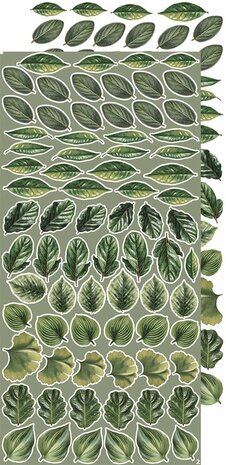 Craft O Clock Creative Extras Set 15x30 cm Mix 04- All Leaves&nbsp;CC-CEX-MIX-04