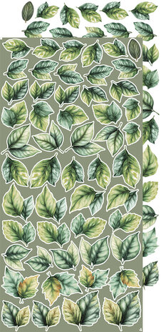 Craft O Clock Creative Extras Set 15x30 cm Mix 04- All Leaves&nbsp;CC-CEX-MIX-04