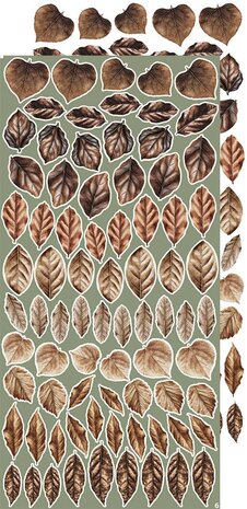 Craft O Clock Creative Extras Set 15x30 cm Mix 04- All Leaves&nbsp;CC-CEX-MIX-04