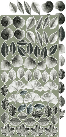 Craft O Clock Creative Extras Set 15x30 cm Mix 04- All Leaves&nbsp;CC-CEX-MIX-04