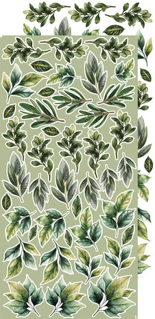 Craft O Clock Creative Extras Set 15x30 cm Mix 04- All Leaves&nbsp;CC-CEX-MIX-04