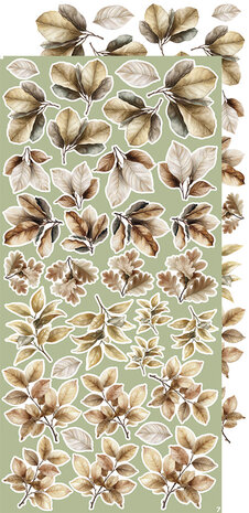 Craft O Clock Creative Extras Set 15x30 cm Mix 04- All Leaves&nbsp;CC-CEX-MIX-04