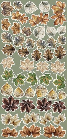 Craft O Clock Creative Extras Set 15x30 cm Mix 04- All Leaves&nbsp;CC-CEX-MIX-04