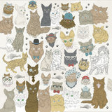 Kaisercraft Pawfect double-sided 12x12" cats_