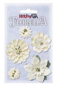 FLORELLA Bloemen Créme, 2-5cm