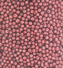 Hobby Crafting Fun Mini Pearls Coral