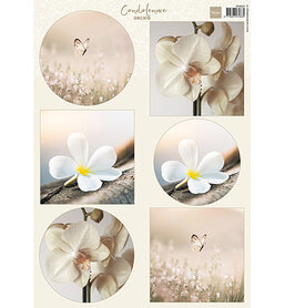 Marianne Design Knipvel A4, Condoleance - Orchid VK9624