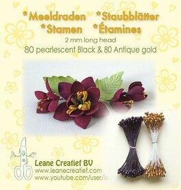 LeCrea - Meeldraden 2mm ±80 pearl black & 80 antiek goud 
