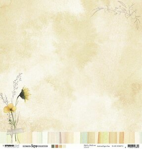 Studio Light Scrap 200gr Ultimate Scrap Collection nr.13 