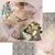 Art Alchemy Paper Collection Set 30,5x30,5 cm Enchanted World - Following Alice