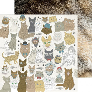 Kaisercraft Pawfect double-sided 12x12" cats